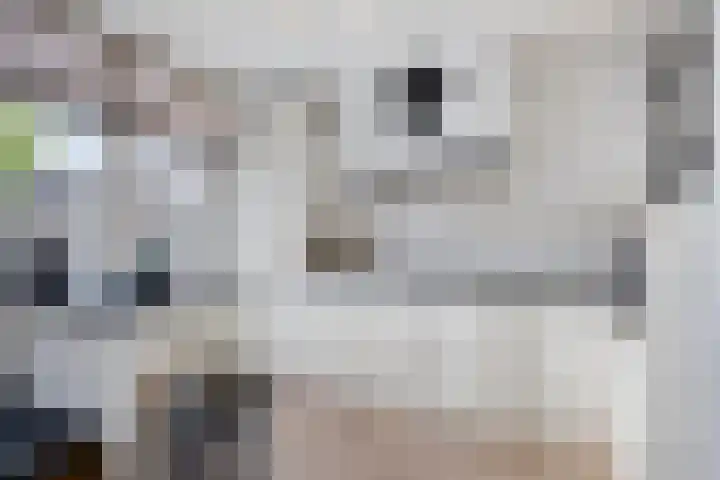 Berkenoord 5 Vaassen thumbnail 11
