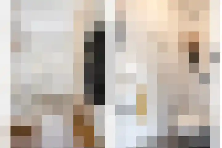 Berkenoord 5 Vaassen thumbnail 15