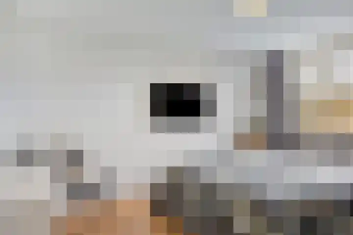 Berkenoord 5 Vaassen thumbnail 16