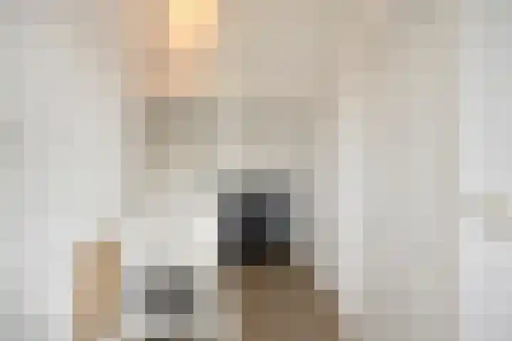 Berkenoord 5 Vaassen thumbnail 27