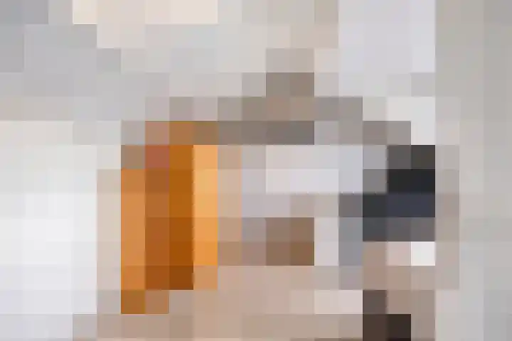 Berkenoord 5 Vaassen thumbnail 28