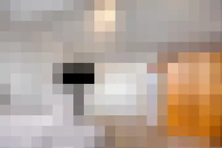 Berkenoord 5 Vaassen thumbnail 30