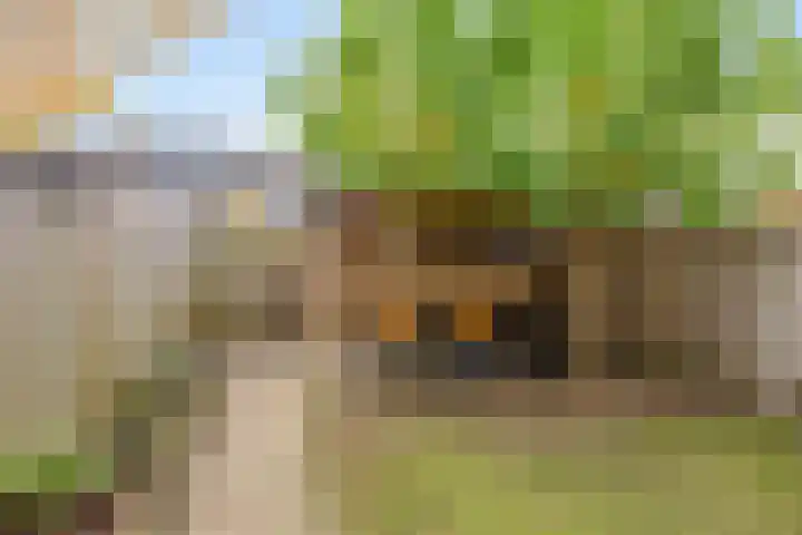 Berkenoord 5 Vaassen thumbnail 34