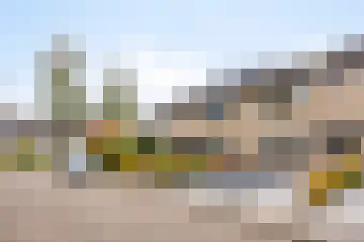 Berkenoord 5 Vaassen thumbnail 35