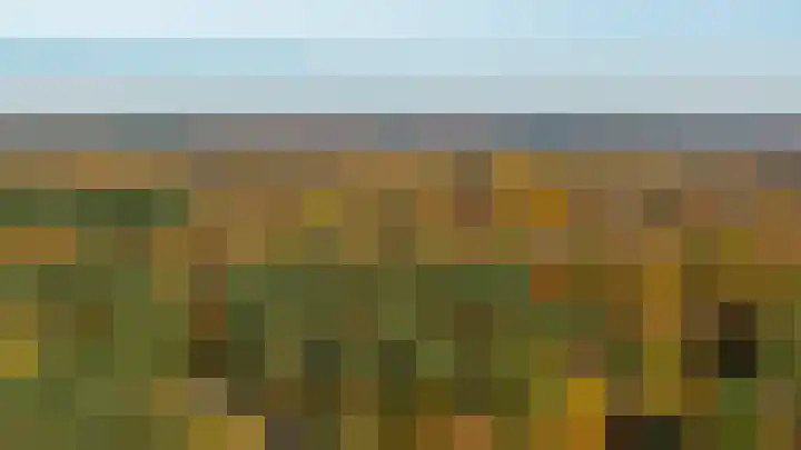 Berkenoord 5 Vaassen thumbnail 37