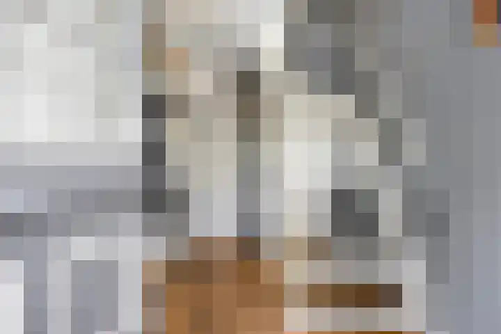 Berkenoord 5 Vaassen thumbnail 4