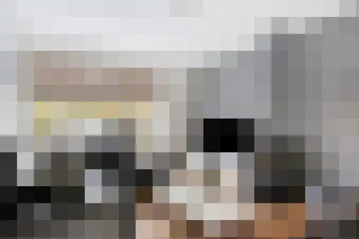 Berkenoord 5 Vaassen thumbnail 6