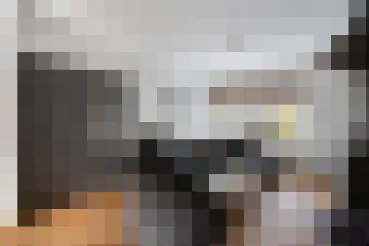 Berkenoord 5 Vaassen thumbnail 8
