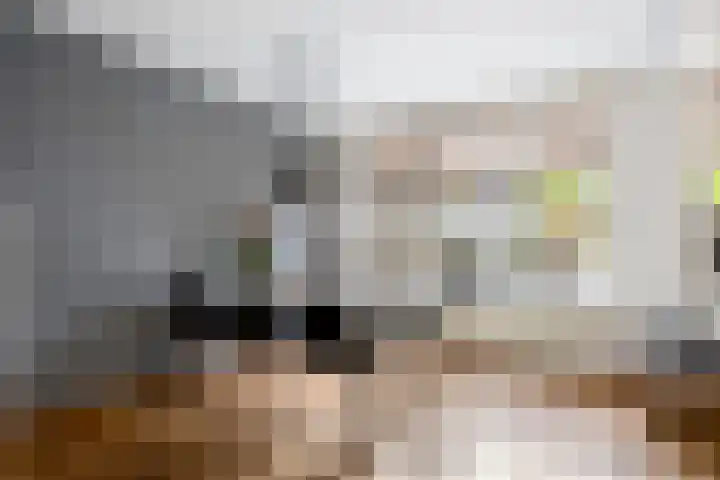 Berkenoord 5 Vaassen thumbnail 9