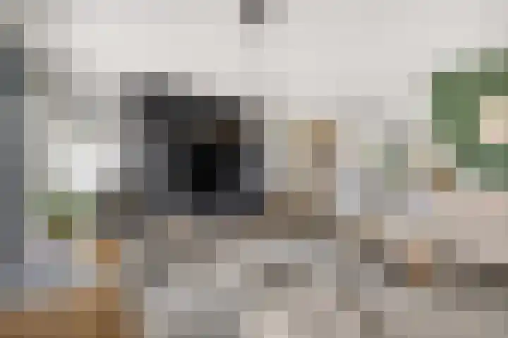 Berkenpad 25 Zeewolde thumbnail 11