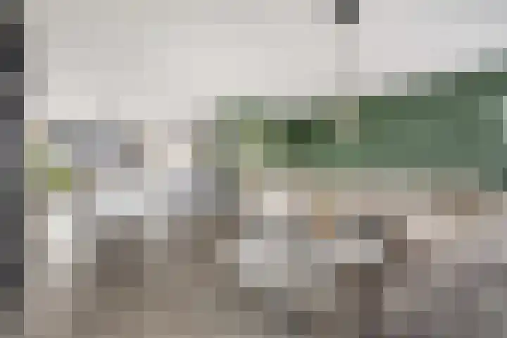 Berkenpad 25 Zeewolde thumbnail 13