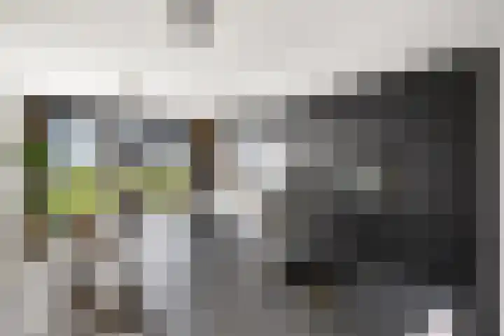 Berkenpad 25 Zeewolde thumbnail 15