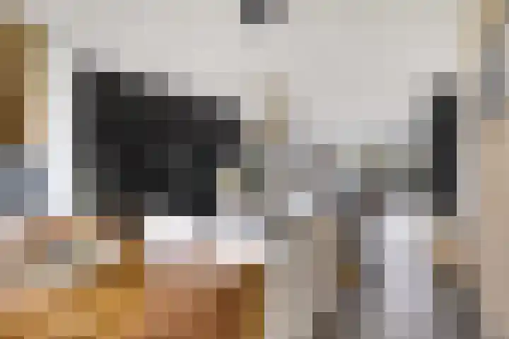 Berkenpad 25 Zeewolde thumbnail 19