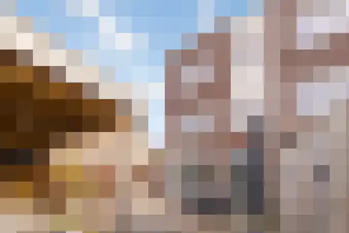 Berkenpad 25 Zeewolde thumbnail 40