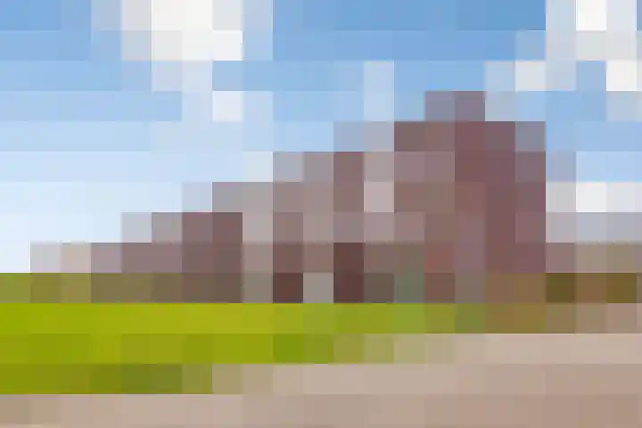 Berkenpad 25 Zeewolde thumbnail 46