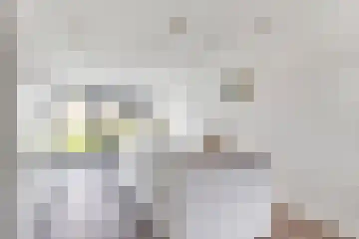 Berkenpad 3 Zeewolde thumbnail 13