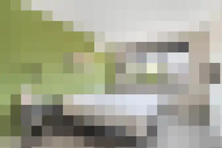 Berkenpad 3 Zeewolde thumbnail 23