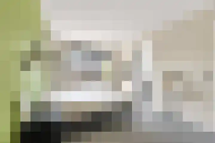 Berkenpad 3 Zeewolde thumbnail 24