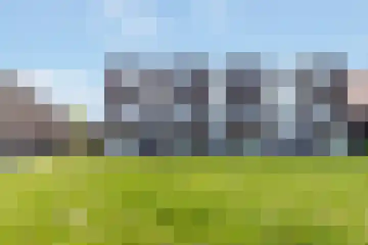 Berkenpad 3 Zeewolde thumbnail 4