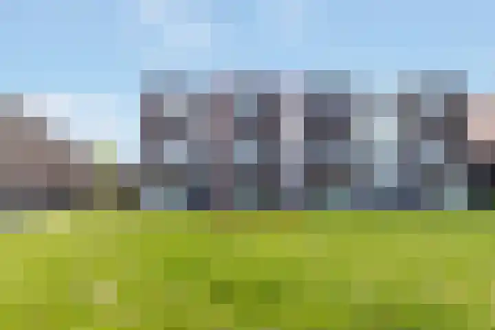 Berkenpad 3 Zeewolde thumbnail 5