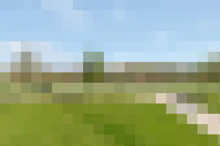 Berkenpad 3 Zeewolde thumbnail 50
