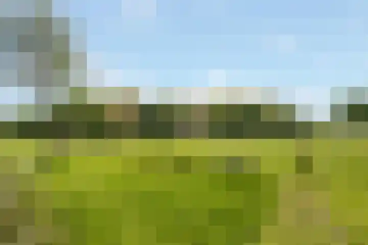 Berkenpad 3 Zeewolde thumbnail 56