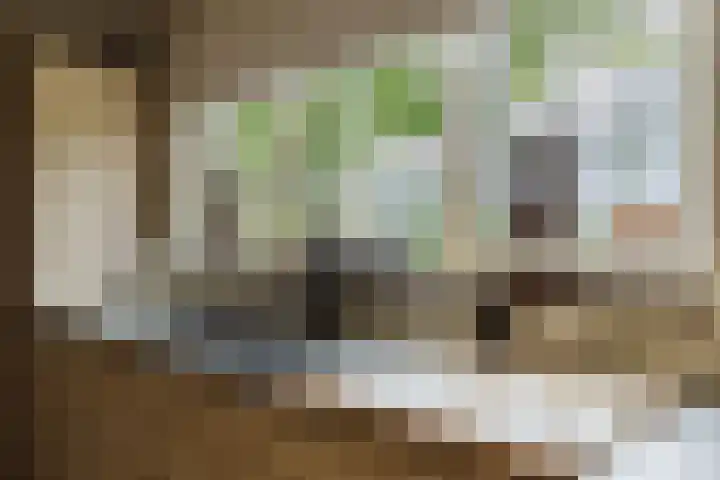 Berkenring 86 Zundert thumbnail 22