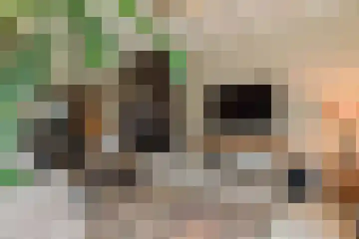 Berkenring 86 Zundert thumbnail 31