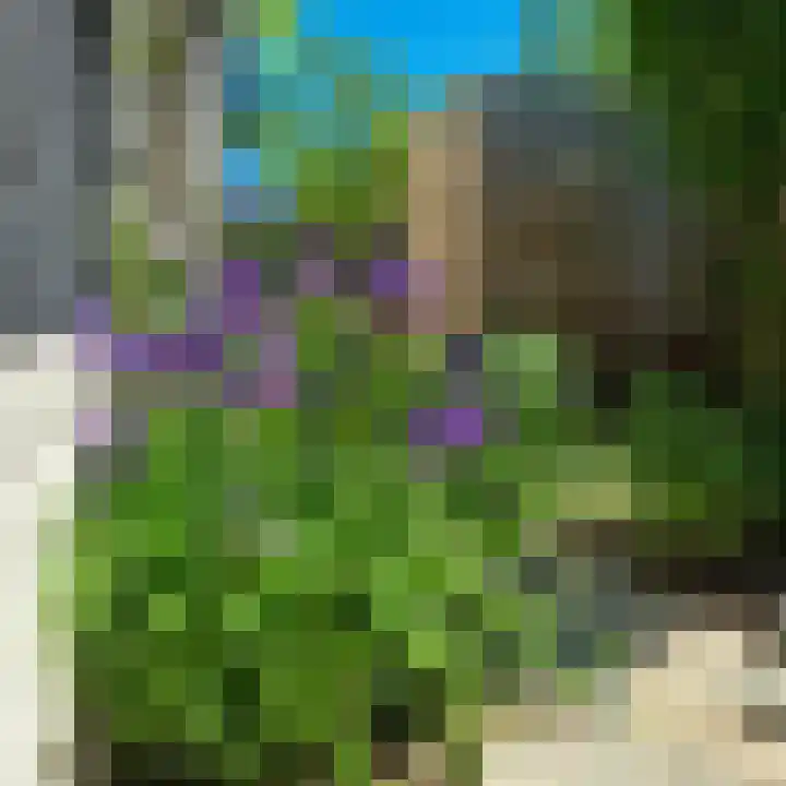 Berkenring 86 Zundert thumbnail 37