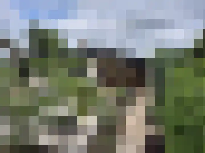 Berkenring 86 Zundert thumbnail 39