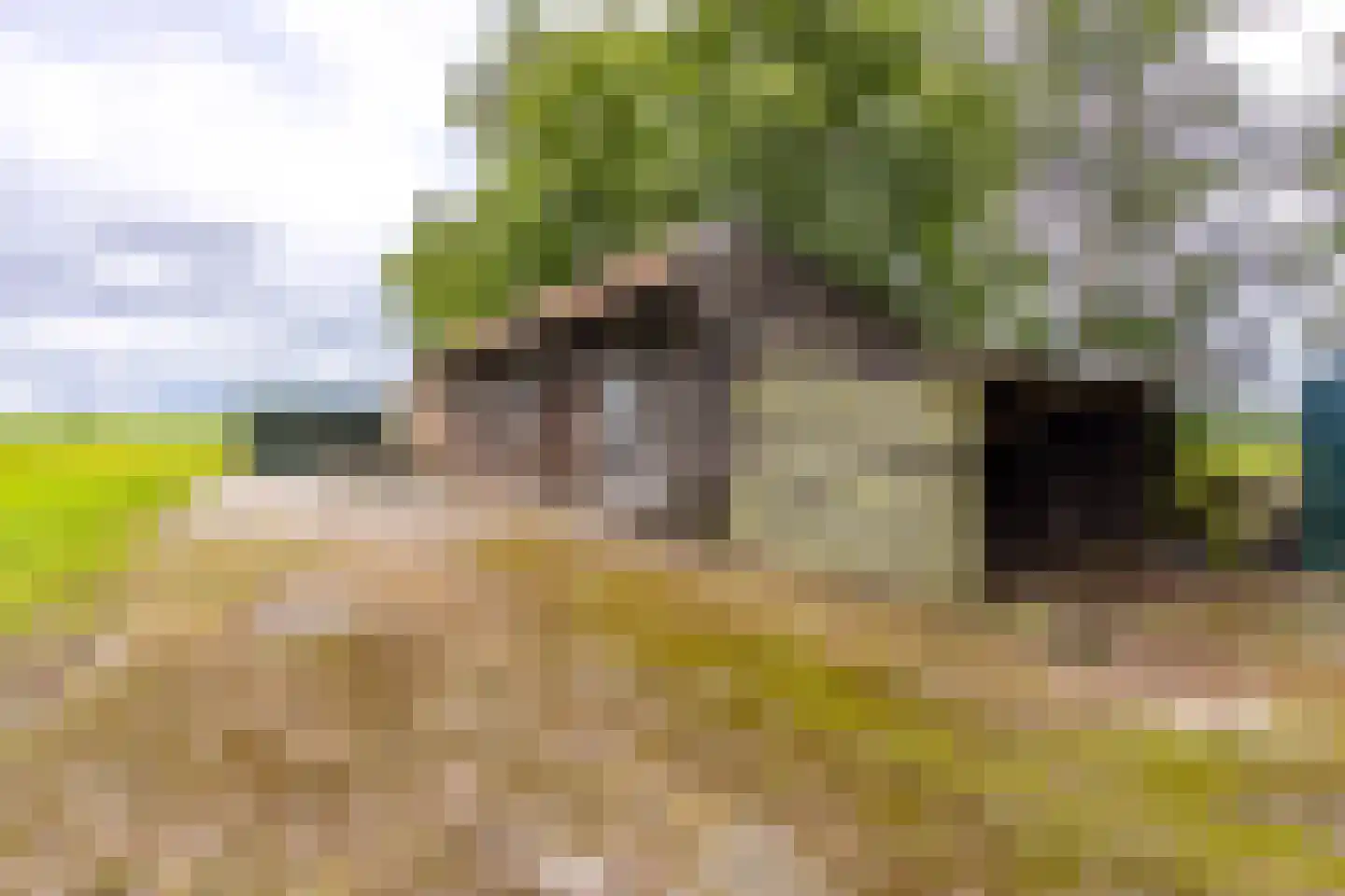 Berkenrode 10 Barger-Compascuum thumbnail 10