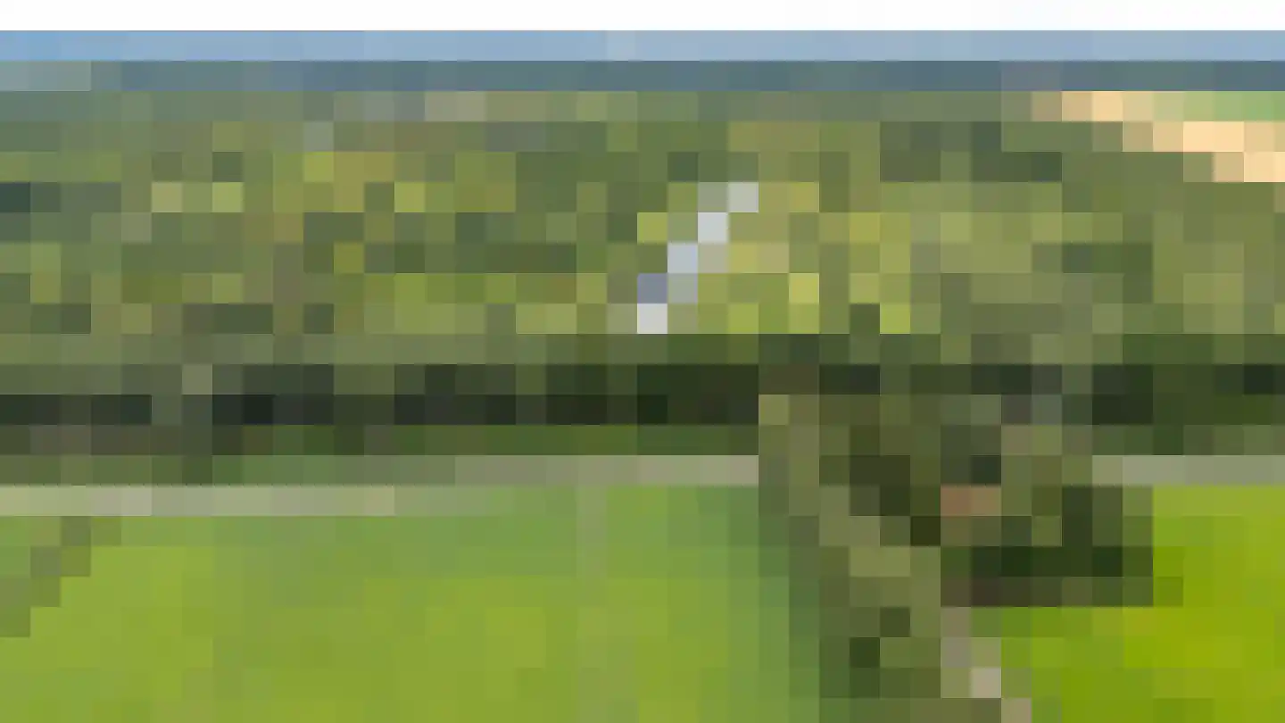 Berkenrode 10 Barger-Compascuum thumbnail 15