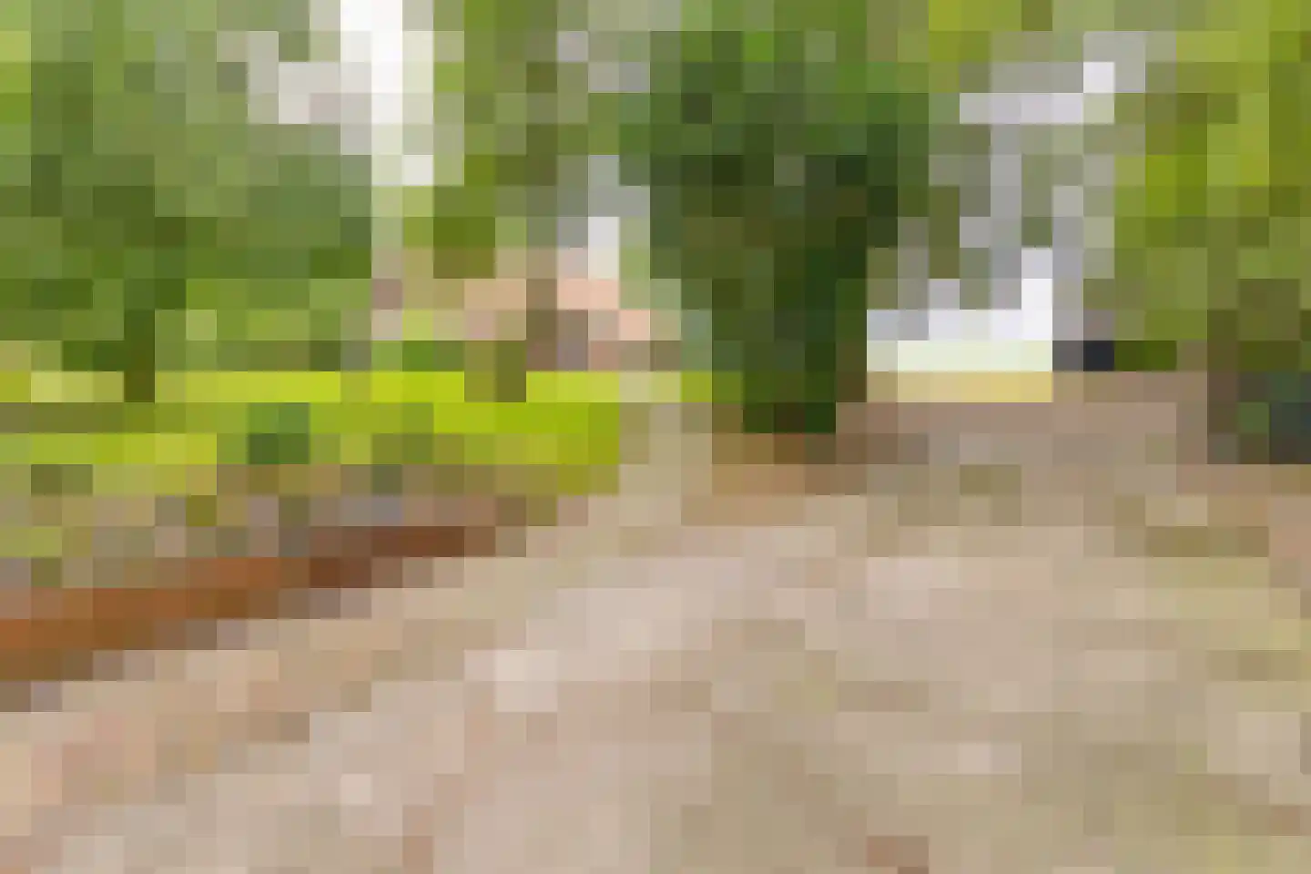 Berkenrode 10 Barger-Compascuum thumbnail 4