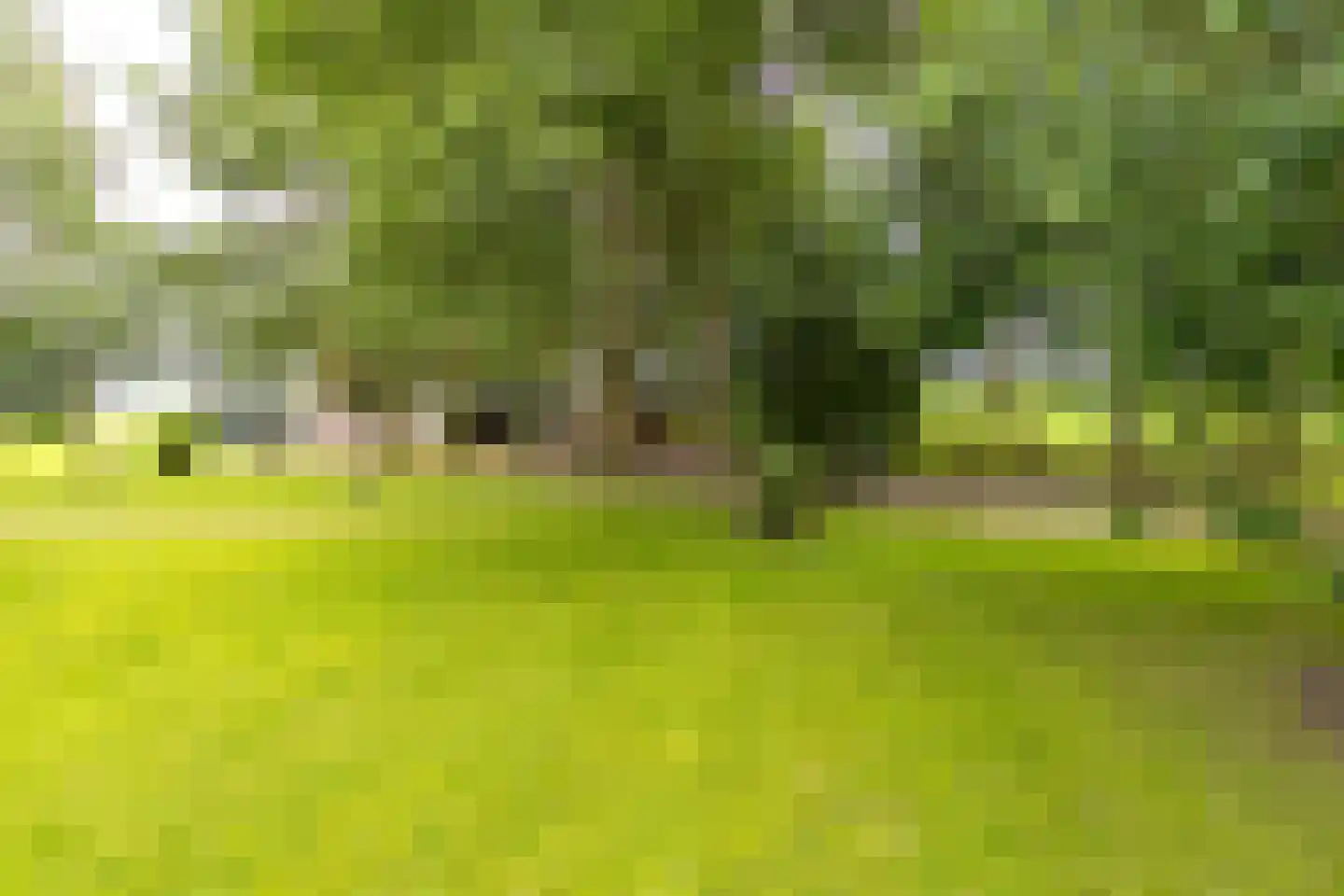 Berkenrode 10 Barger-Compascuum thumbnail 7