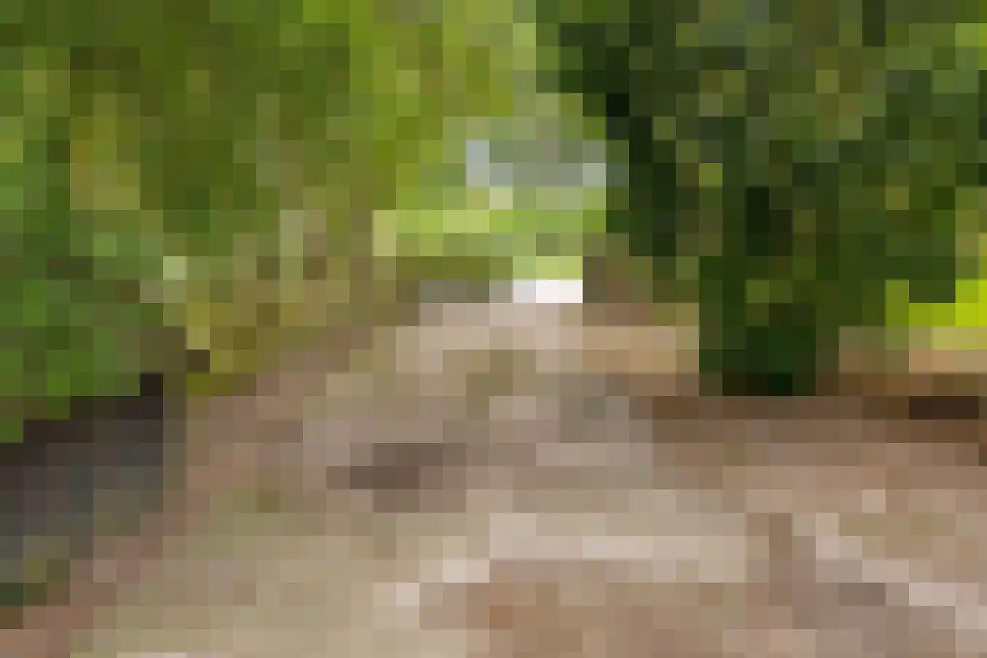 Berkenrode 10 Barger-Compascuum thumbnail 8