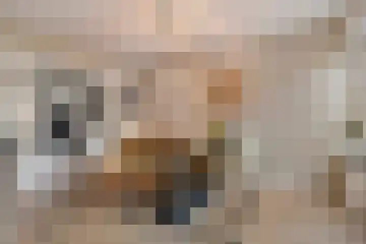 Berkenschakel 42 Bathmen thumbnail 10