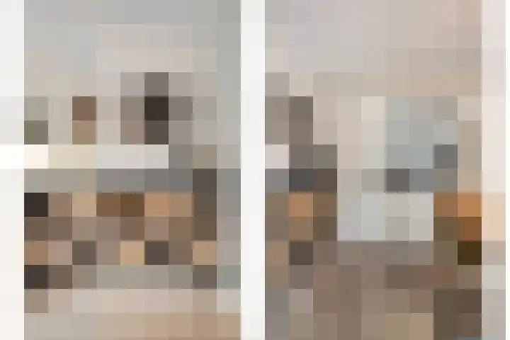 Berkenschakel 42 Bathmen thumbnail 13