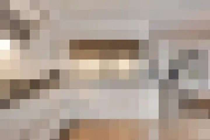 Berkenschakel 42 Bathmen thumbnail 14
