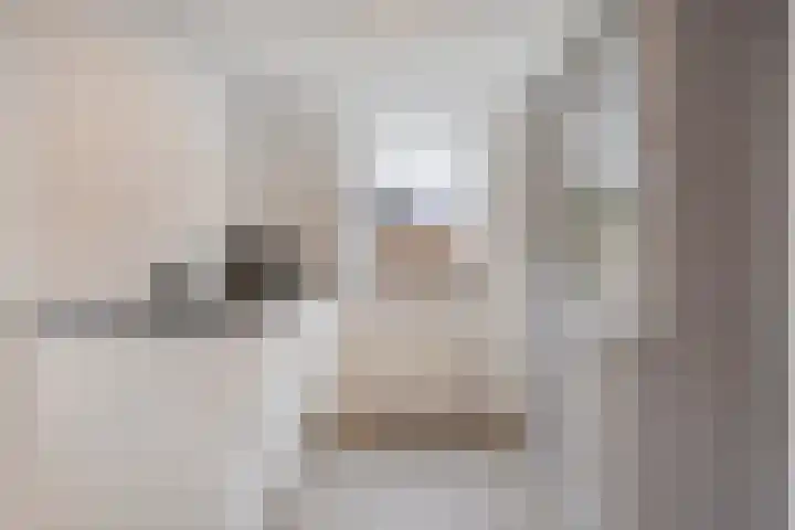 Berkenschakel 42 Bathmen thumbnail 17