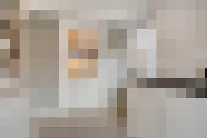 Berkenschakel 42 Bathmen thumbnail 18