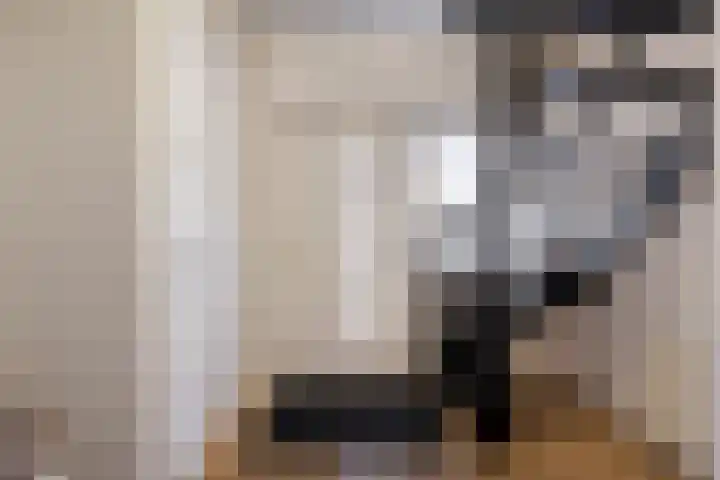 Berkenschakel 42 Bathmen thumbnail 19