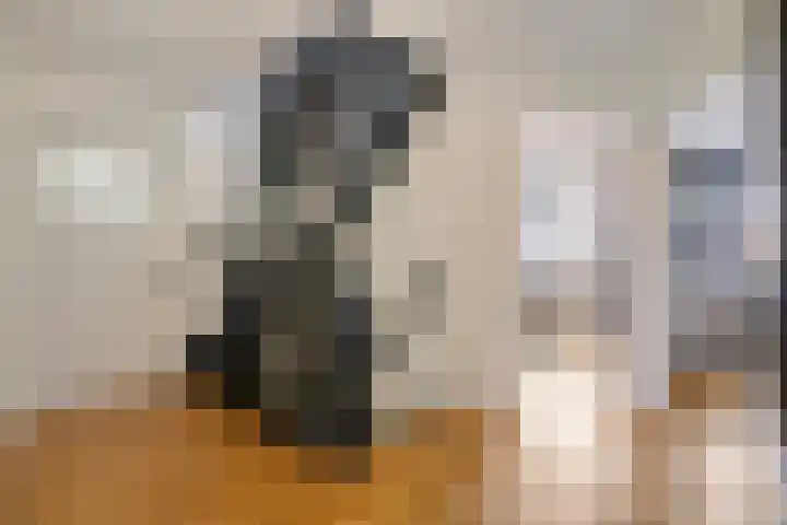 Berkenschakel 42 Bathmen thumbnail 20