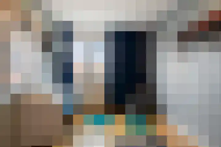 Berkenschakel 42 Bathmen thumbnail 27