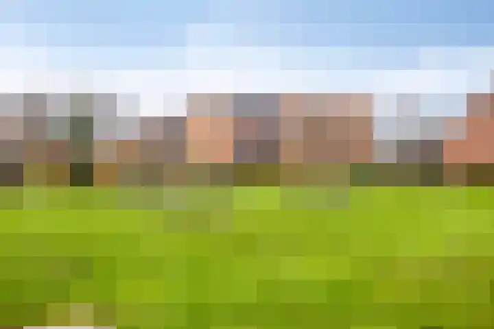 Berkenschakel 42 Bathmen thumbnail 51