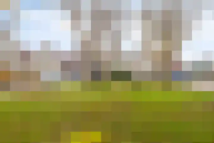 Berkenschakel 42 Bathmen thumbnail 52