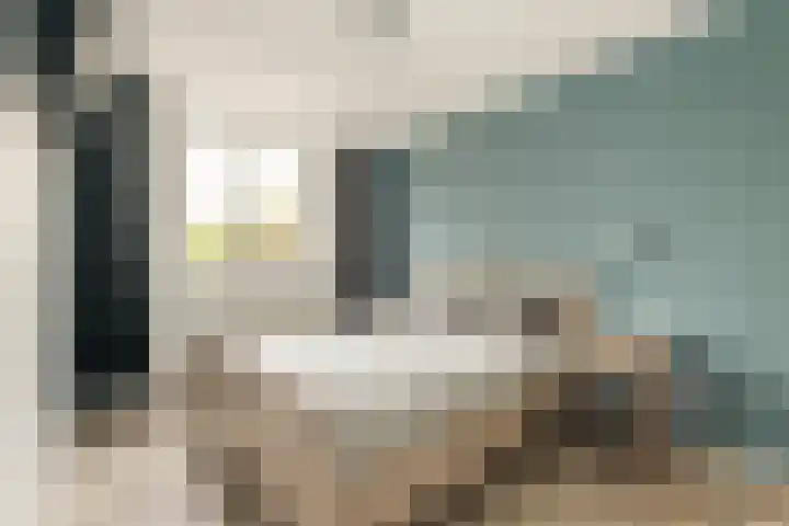 Berkenschakel 7 Bathmen thumbnail 14