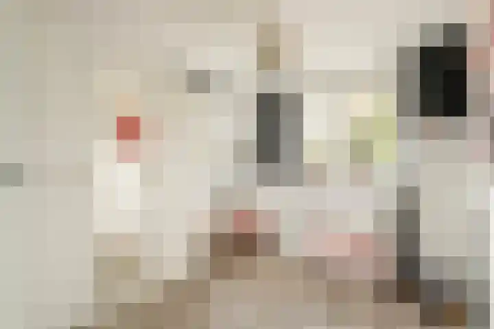 Berkenschakel 7 Bathmen thumbnail 16