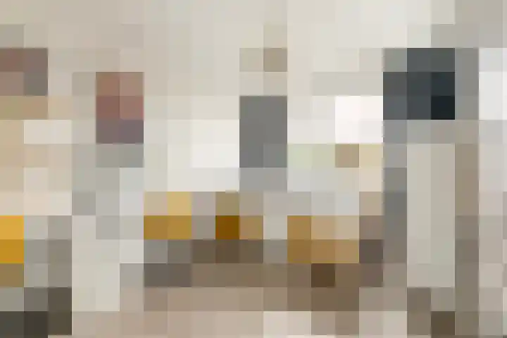Berkenschakel 7 Bathmen thumbnail 17