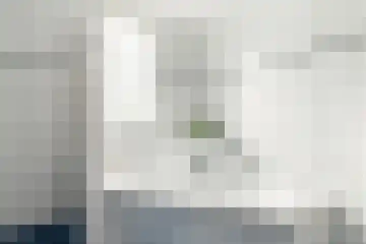 Berkenschakel 7 Bathmen thumbnail 20