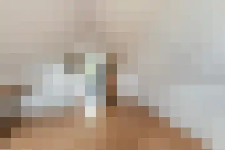 Berkenschakel 7 Bathmen thumbnail 23